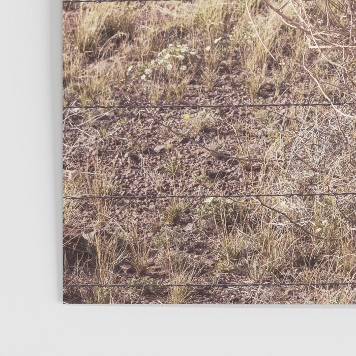 West Texas Tumbleweed x Alpine Texas Photography Poster Gallery Image 3