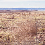 West Texas Tumbleweed x Alpine Texas Photography Coffee Mug Gallery Image 2