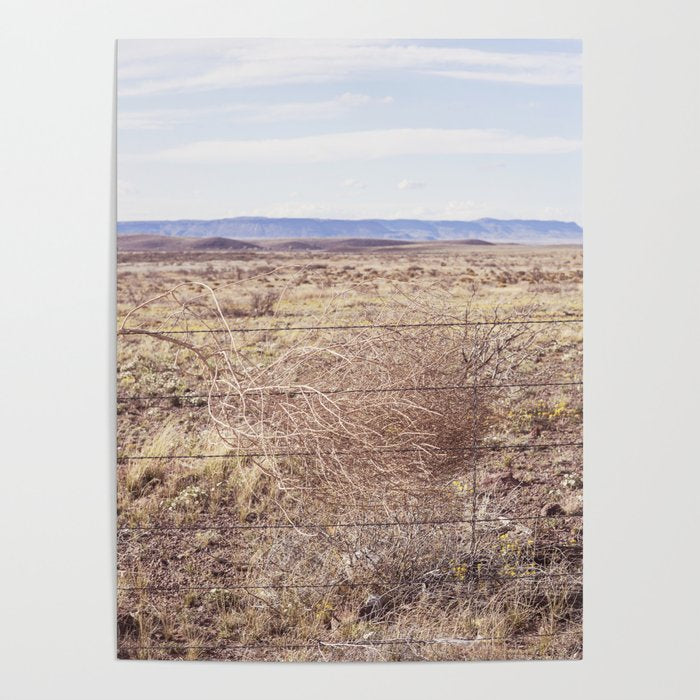 West Texas Tumbleweed x Alpine Texas Photography Poster Gallery Image 4