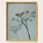 Delicate - abstract floral art photograph botanical Serving Tray Gallery Image 1
