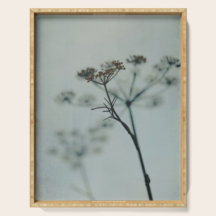 Delicate - abstract floral art photograph botanical Serving Tray Gallery Image 1