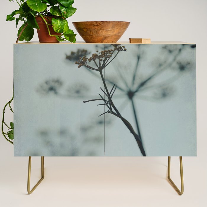 Delicate - abstract floral art photograph botanical Credenza Gallery Image 1