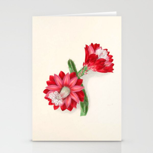Cereus cactus by Clarissa Munger Badger, "Floral Belles," 1866 (benefitting The Nature Conservancy) Stationery Card Gallery Image 2