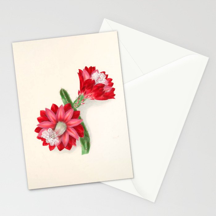 Cereus cactus by Clarissa Munger Badger, "Floral Belles," 1866 (benefitting The Nature Conservancy) Stationery Card Gallery Image 2