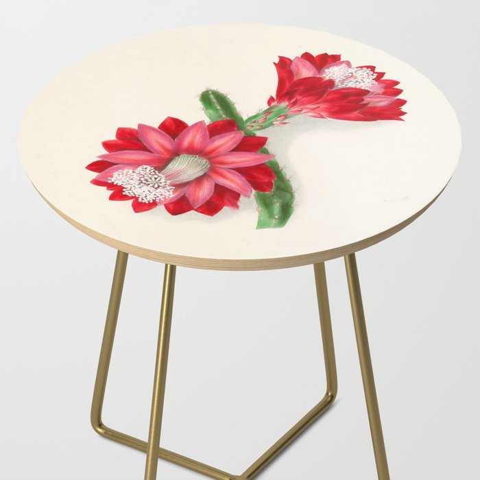Cereus cactus by Clarissa Munger Badger, "Floral Belles," 1866 (benefitting The Nature Conservancy) Side Table Gallery Image 2