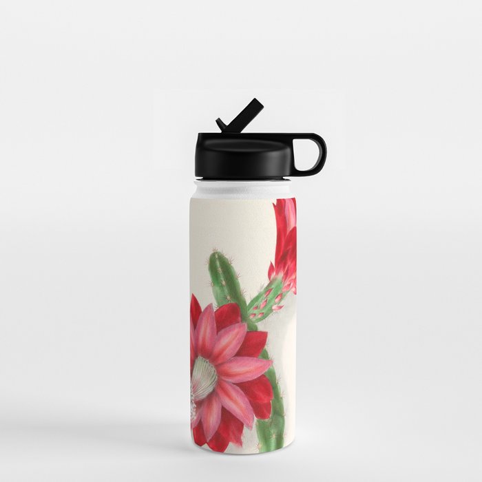 Cereus cactus by Clarissa Munger Badger, "Floral Belles," 1866 (benefitting The Nature Conservancy) Water Bottle Gallery Image 1