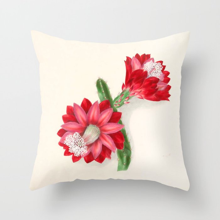 Cereus cactus by Clarissa Munger Badger, "Floral Belles," 1866 (benefitting The Nature Conservancy) Throw Pillow Gallery Image 6