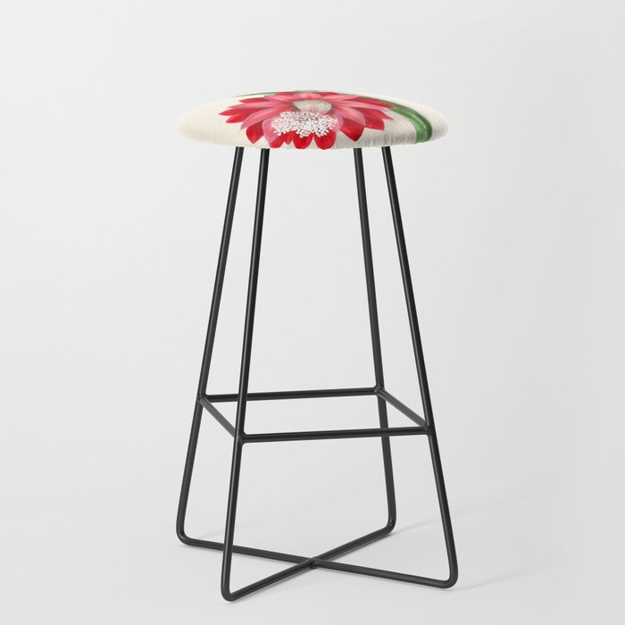 Cereus cactus by Clarissa Munger Badger, "Floral Belles," 1866 (benefitting The Nature Conservancy) Stool Gallery Image 1