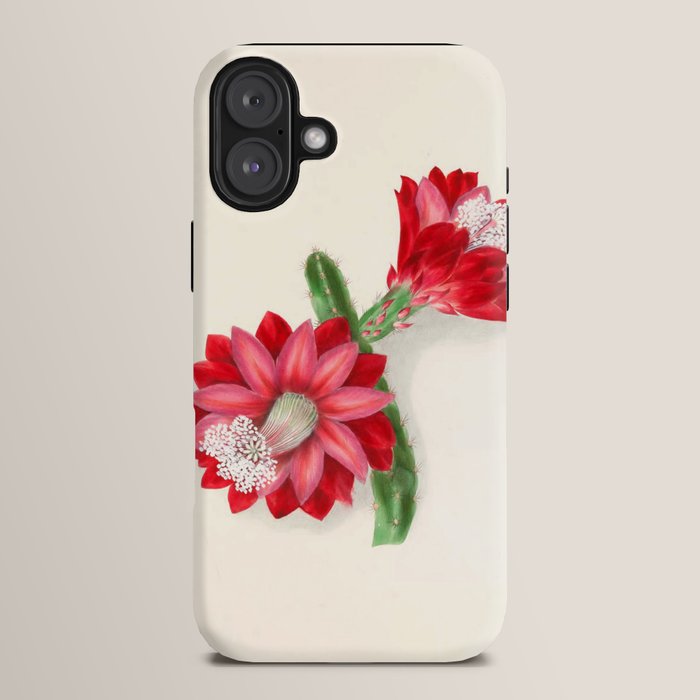 Cereus cactus by Clarissa Munger Badger, "Floral Belles," 1866 (benefitting The Nature Conservancy) iPhone Case Gallery Image 14