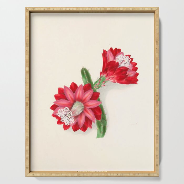 Cereus cactus by Clarissa Munger Badger, "Floral Belles," 1866 (benefitting The Nature Conservancy) Serving Tray Gallery Image 1