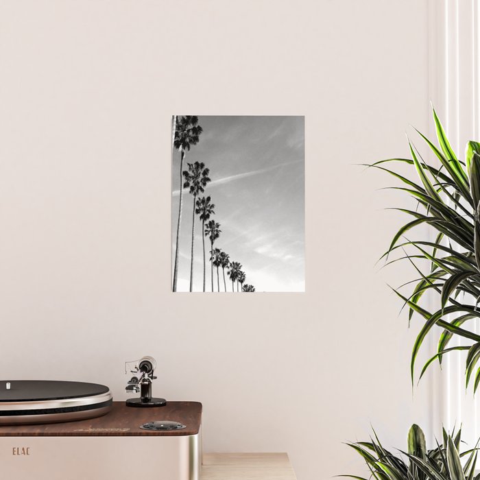La Jolla Poster Gallery Image 2