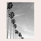 La Jolla Poster Gallery Image 4