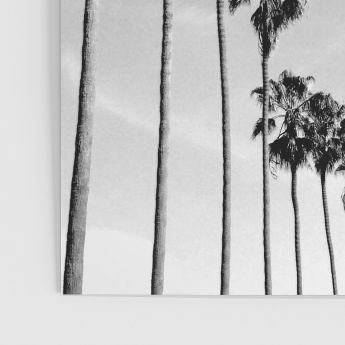La Jolla Poster Gallery Image 3