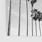 La Jolla Poster Gallery Image 3