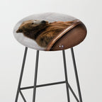 Bear with Rubber Ducky in Vintage Bathtub Stool Gallery Image 2