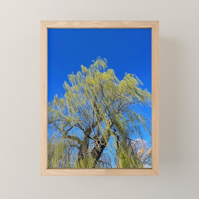 Among the Trees Mini Art Print Gallery Image 1
