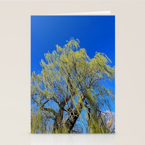 Among the Trees Stationery Card Gallery Image 2
