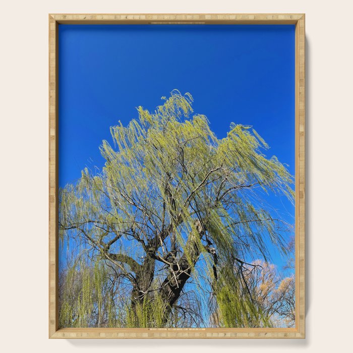 Among the Trees Serving Tray Gallery Image 1