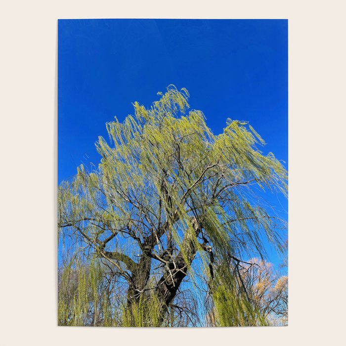 Among the Trees Poster Gallery Image 1