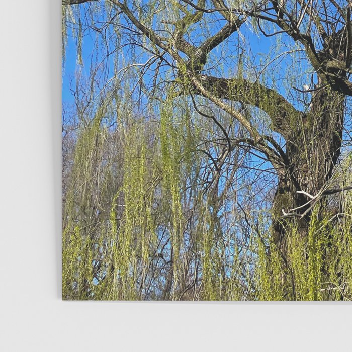 Among the Trees Poster Gallery Image 3