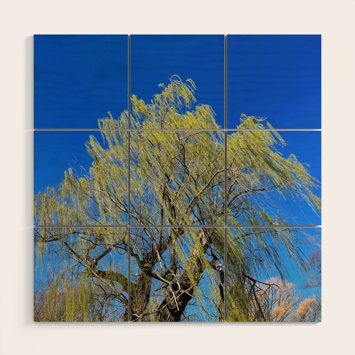 Among the Trees Wood Wall Art Gallery Image 1