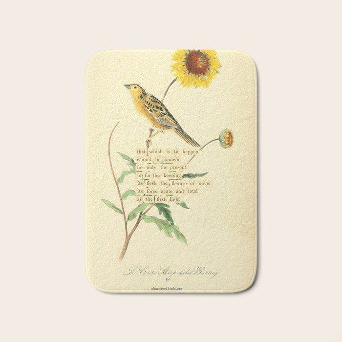 Bird Divinations: Le Conte's Sharp-tailed Bunting (about: almanacofbirds.org) Bath Mat Gallery Image 1