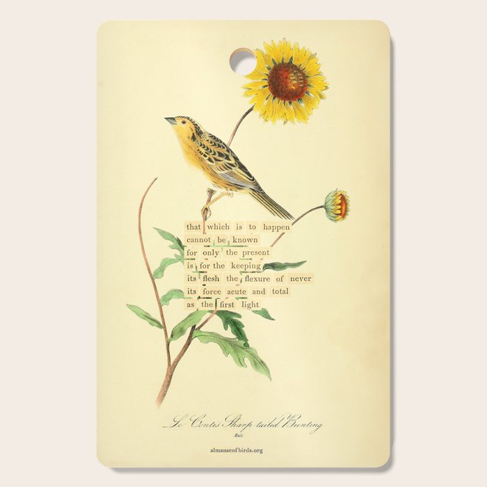 Bird Divinations: Le Conte's Sharp-tailed Bunting (about: almanacofbirds.org) Cutting Board Gallery Image 1