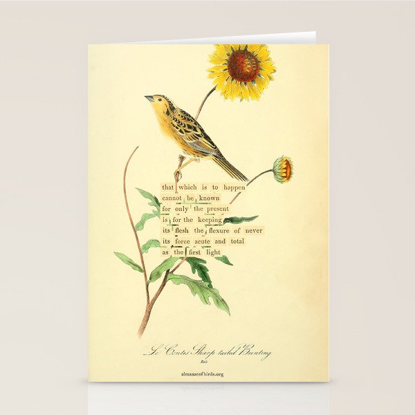 Bird Divinations: Le Conte's Sharp-tailed Bunting (about: almanacofbirds.org) Stationery Card Gallery Image 2