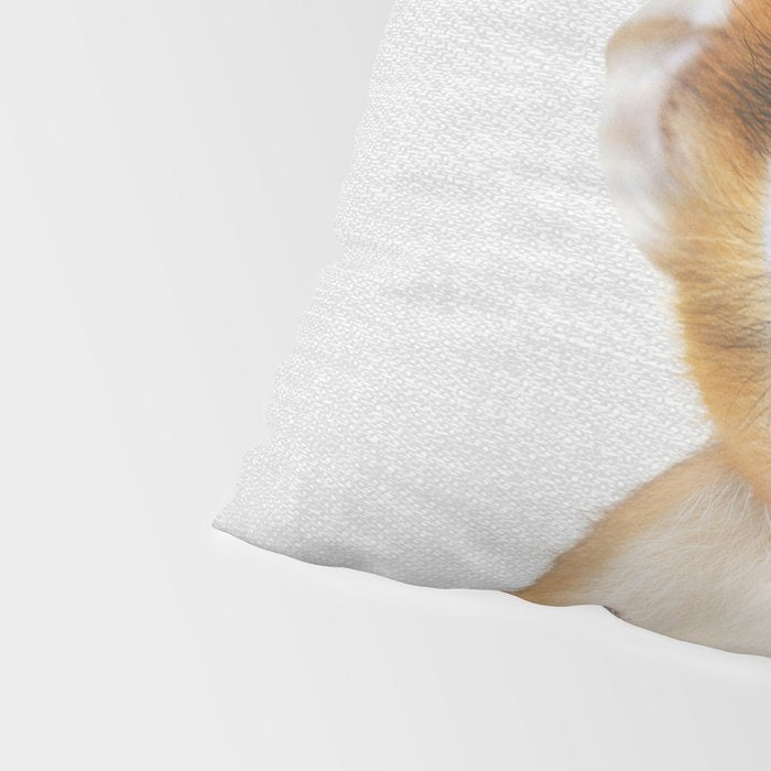 Baby Monkey - Colorful Pillow Sham Gallery Image 4