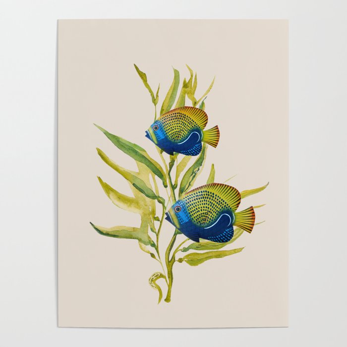 Fishes 2 Poster Gallery Image 4
