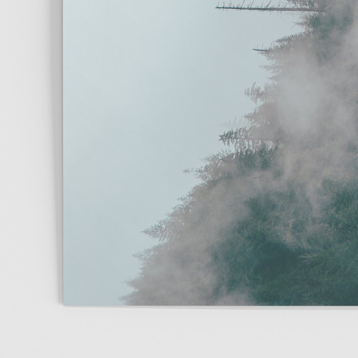 Forest Fog IX Poster Gallery Image 3
