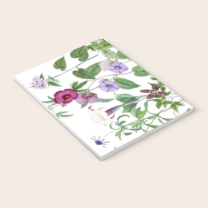 Marvelling In Mauve Botanical Illustration Notebook Gallery Image 3