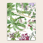Marvelling In Mauve Botanical Illustration Notebook Gallery Image 4