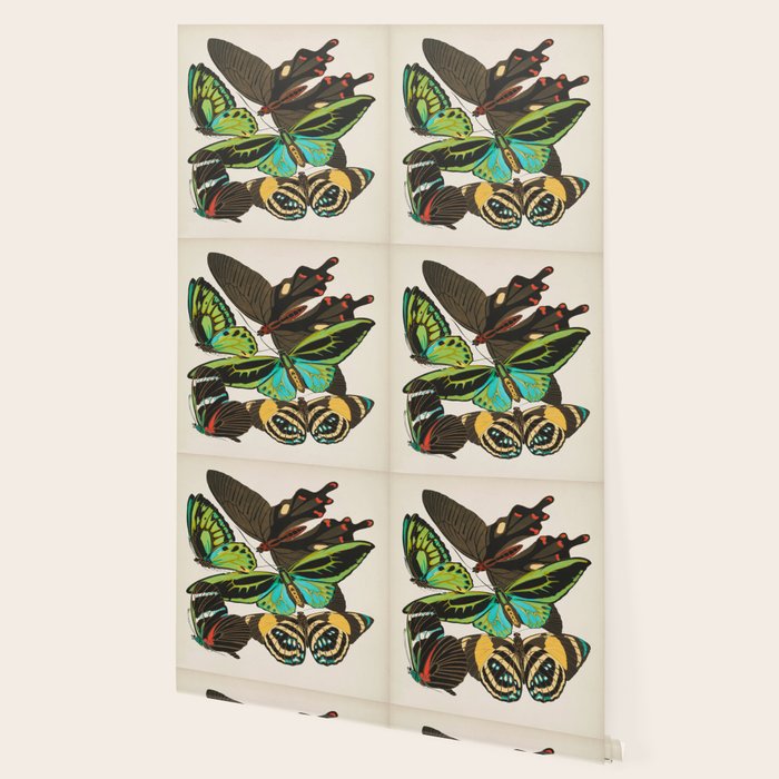 Vintage Butterfly Illustration EA Seguy Papillon Wallpaper Gallery Image 2
