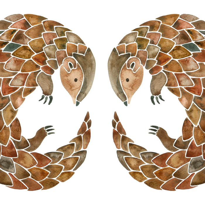 Pangolin Coffee Mug Gallery Image 2