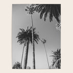Palm Trees (Black and White) Poster Gallery Image 4