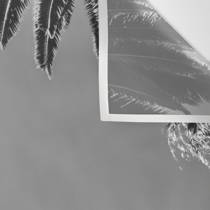 Palm Trees (Black and White) Wall Tapestry Gallery Image 3