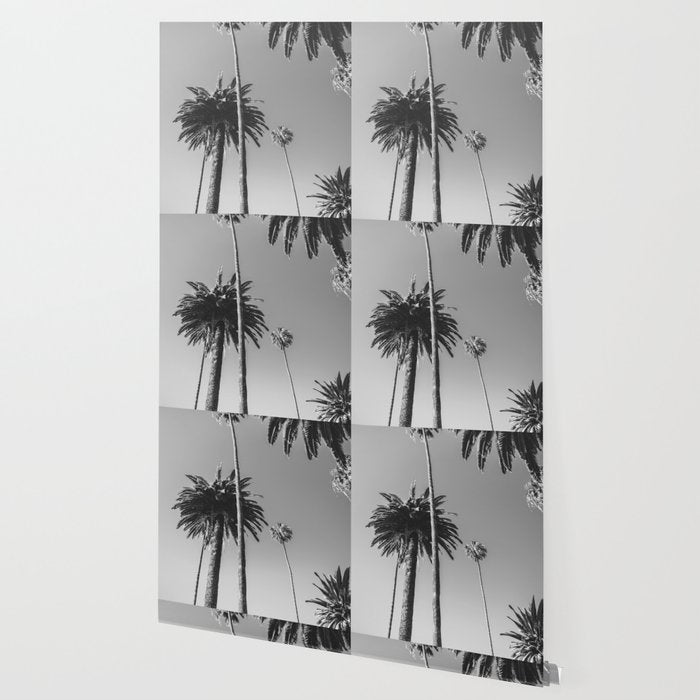 Palm Trees (Black and White) Wallpaper Gallery Image 2