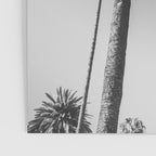Palm Trees (Black and White) Poster Gallery Image 3