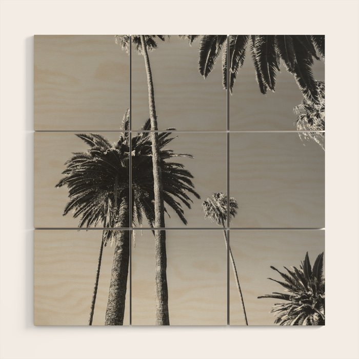 Palm Trees (Black and White) Wood Wall Art Gallery Image 1
