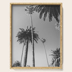 Palm Trees (Black and White) Serving Tray Gallery Image 1