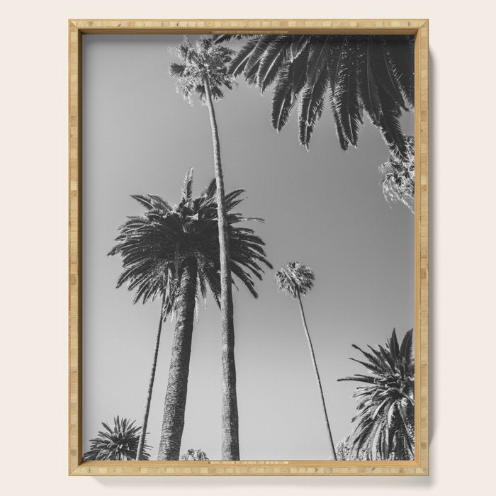 Palm Trees (Black and White) Serving Tray Gallery Image 1