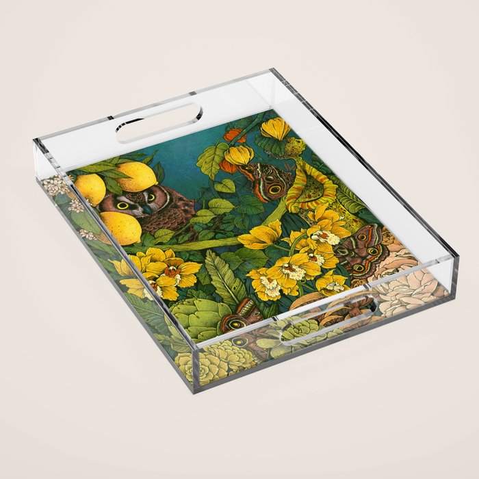Aureate Acrylic Tray Gallery Image 1