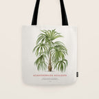 Cryosophila palm tree Tote Bag Gallery Image 1