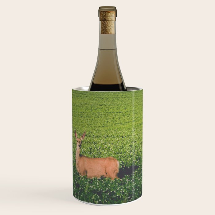Clover Fields Wine Chiller Gallery Image 1