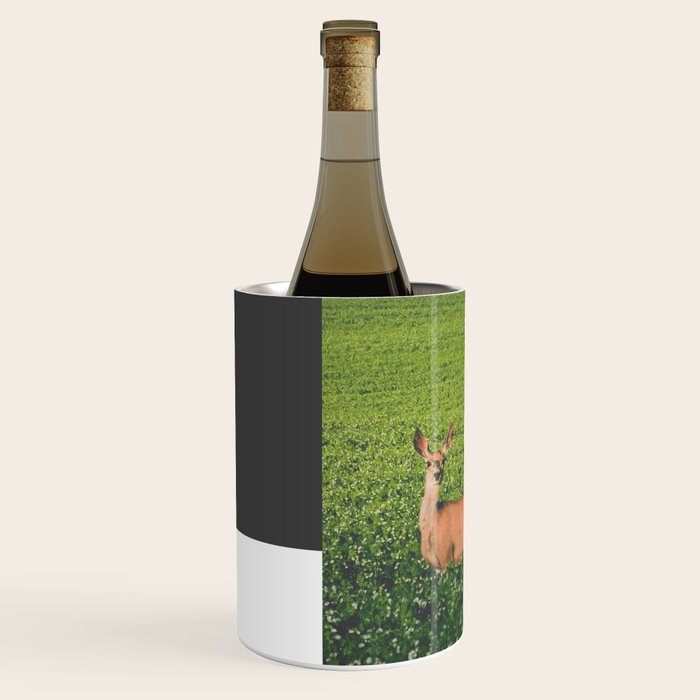 Clover Fields Wine Chiller Gallery Image 2