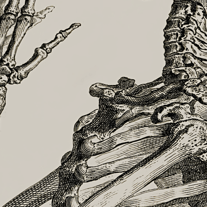 William Cheselden, Osteographia (The Anatomy of Bones), London, 1733 Praying Skeleton Coffee Mug Gallery Image 2