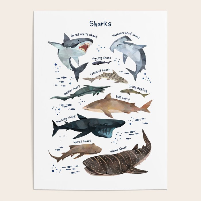 Sharks Poster Gallery Image 1
