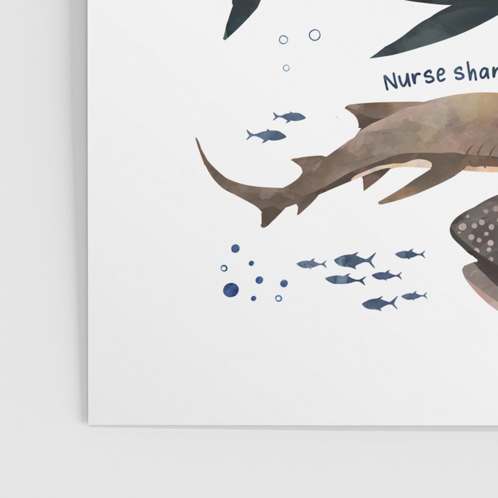 Sharks Poster Gallery Image 3
