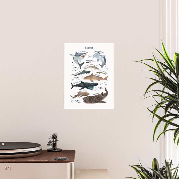 Sharks Poster Gallery Image 2